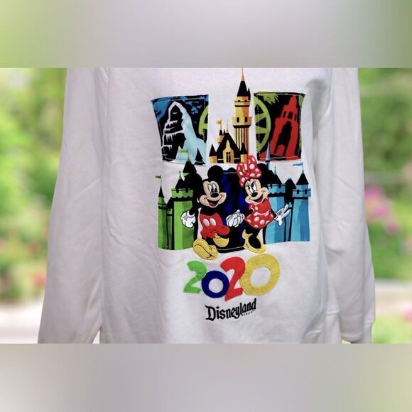 🔥🔥 DisneyParks Disneyland 2020 Hoodie Sweatshirt Jumper Zip-up jacket Size 1X - Picture 6 of 13